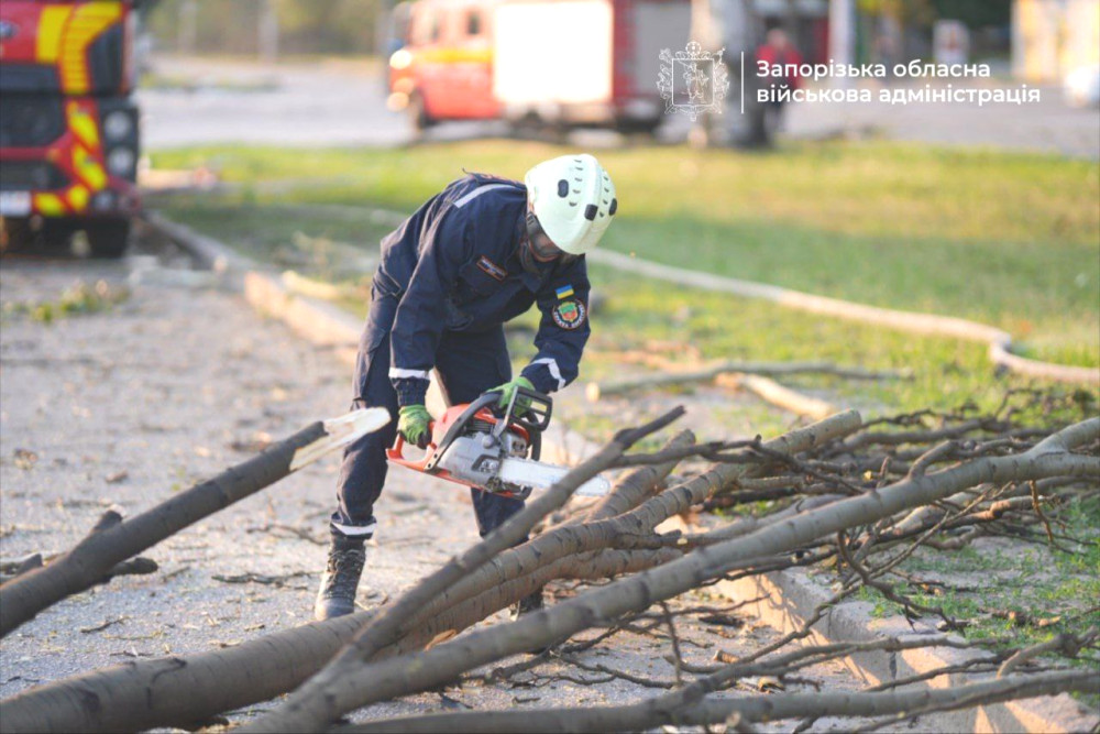 1513 image for slide