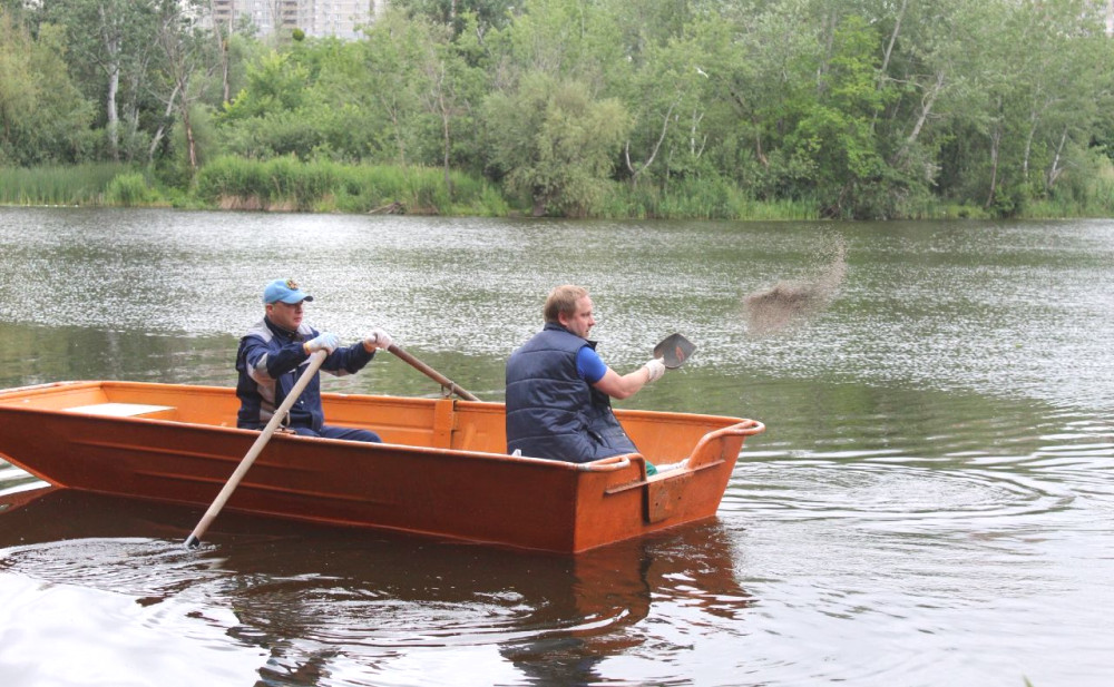 1537 image for slide