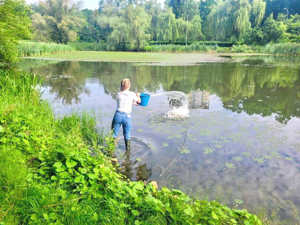 1539 image for slide