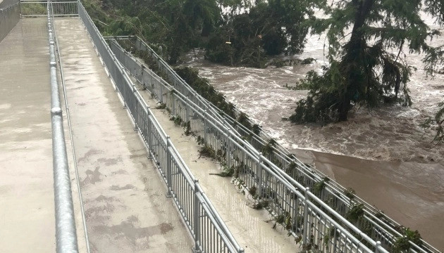 2203 image for slide