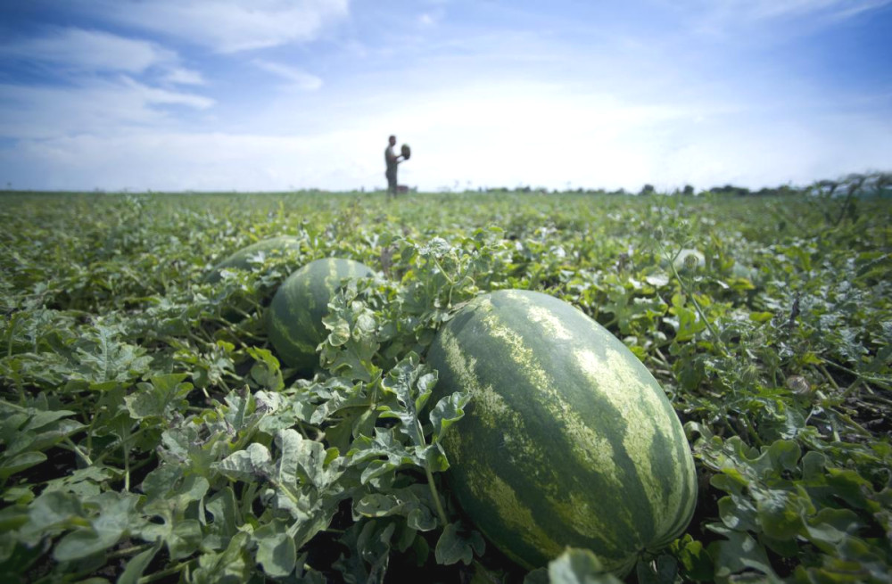 2574 image for slide