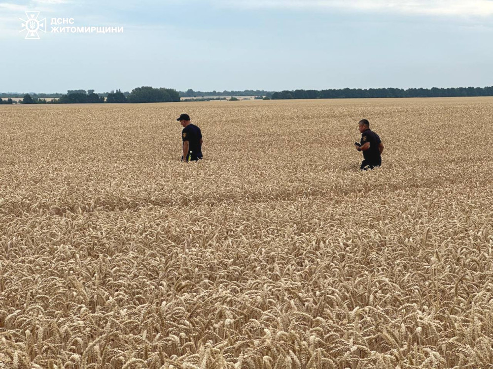 2754 image for slide