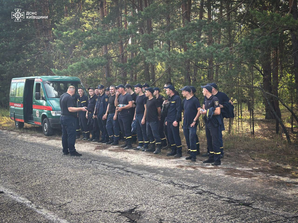 3057 image for slide