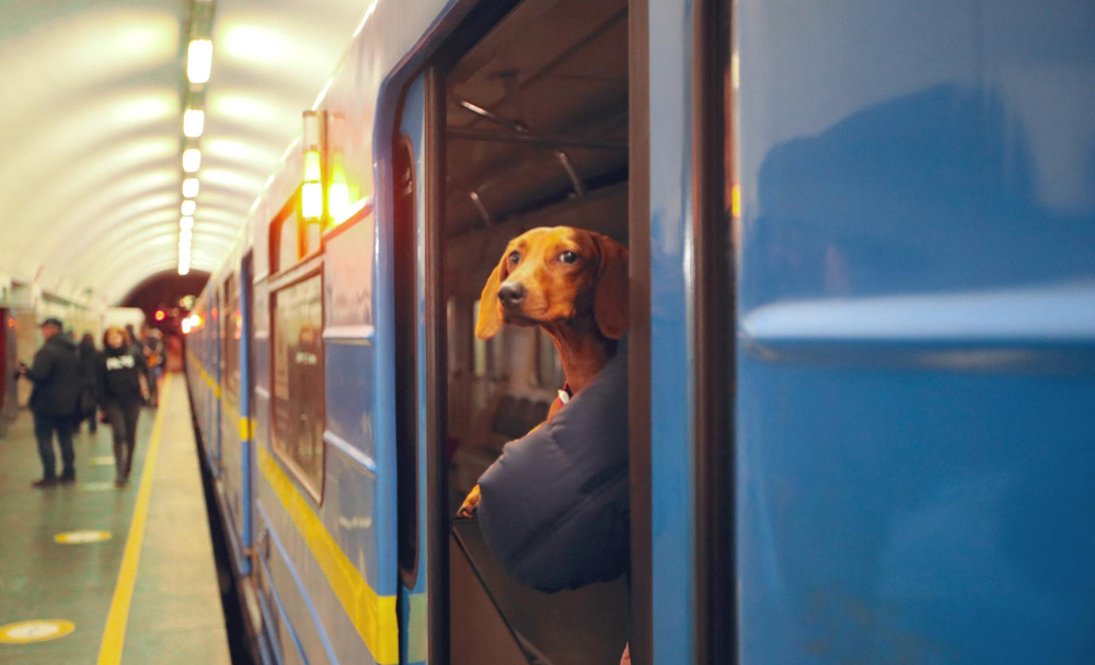 3126 image for slide