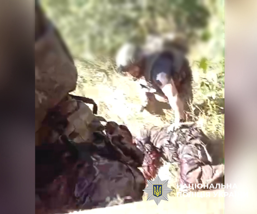 3853 image for slide