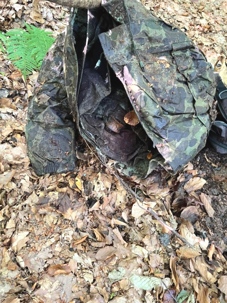 4269 image for slide