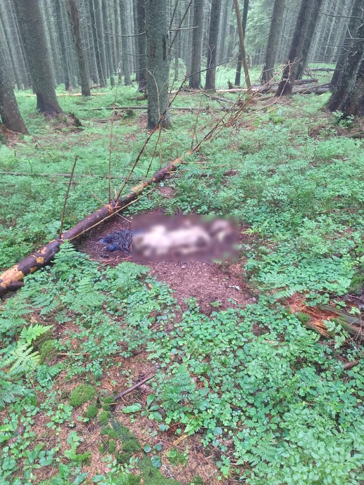 4270 image for slide