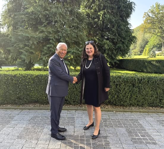 4593 image for slide