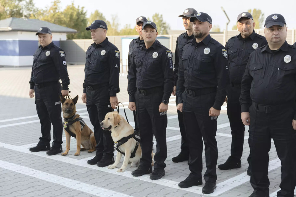 4785 image for slide