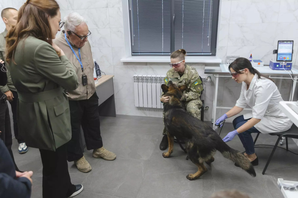 4789 image for slide