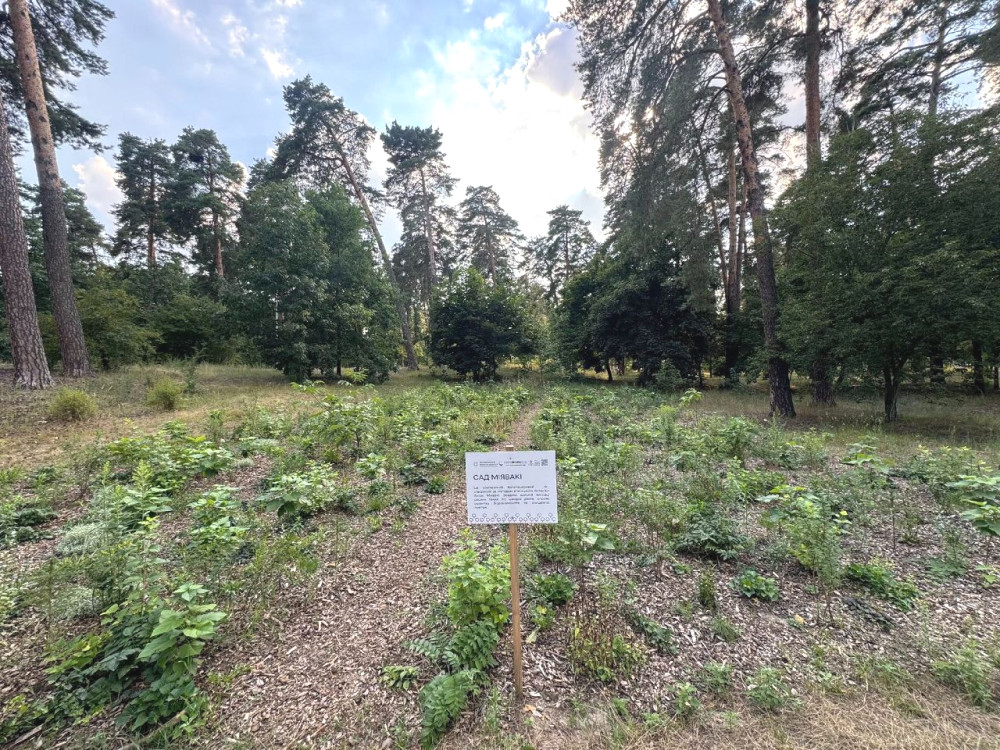 4817 image for slide