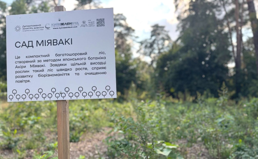 4818 image for slide