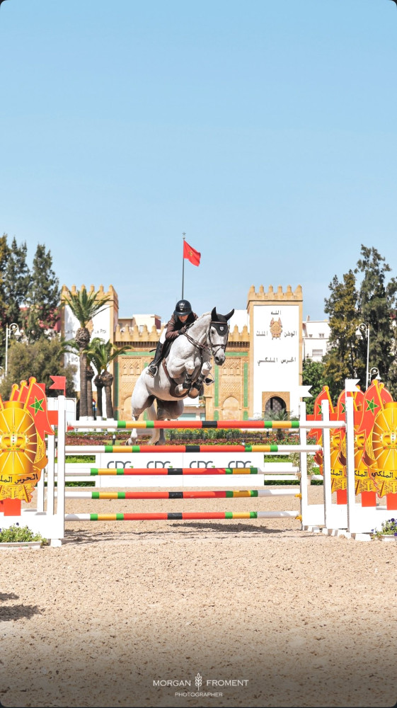 5188 image for slide