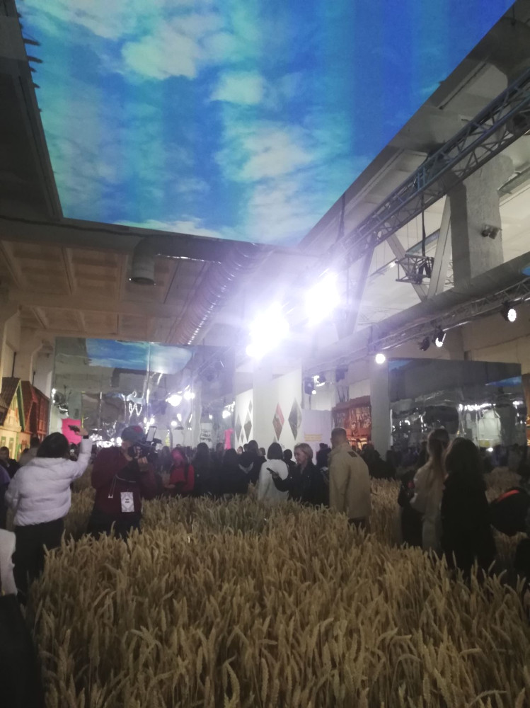 5338 image for slide