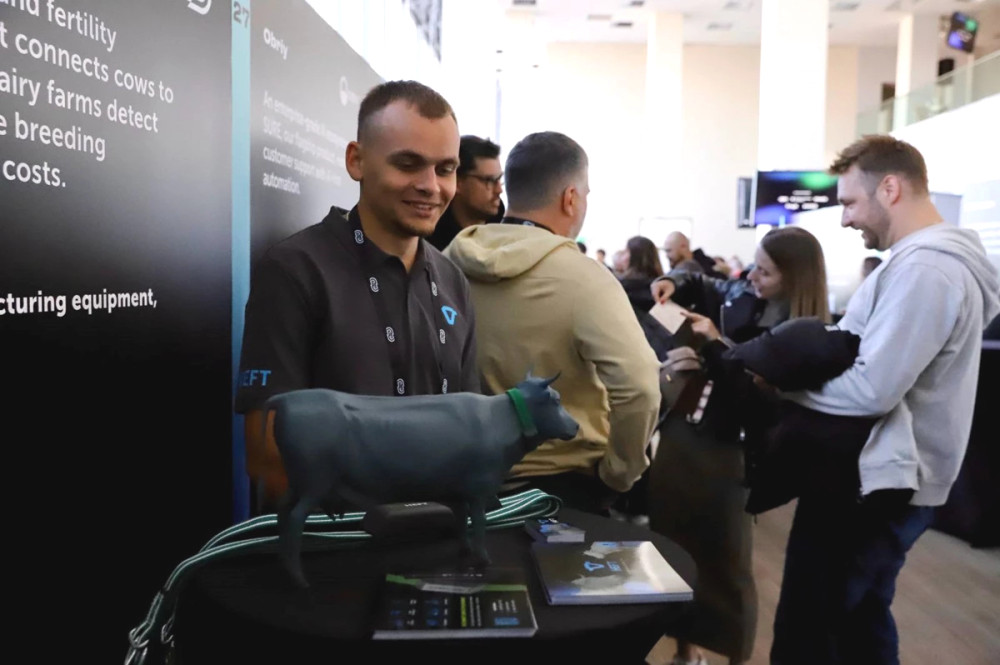 5342 image for slide