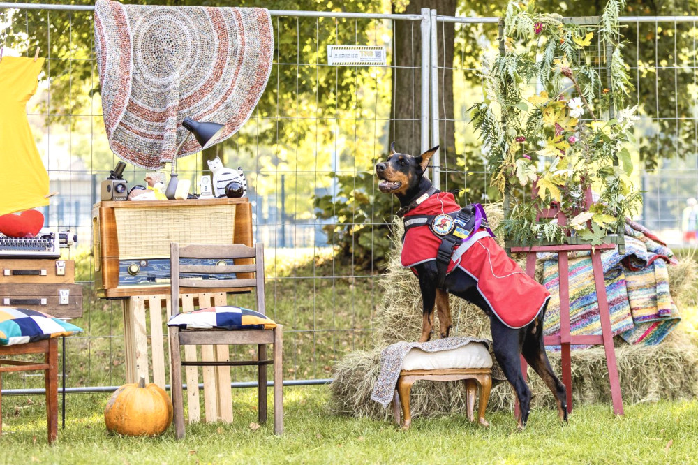 5411 image for slide