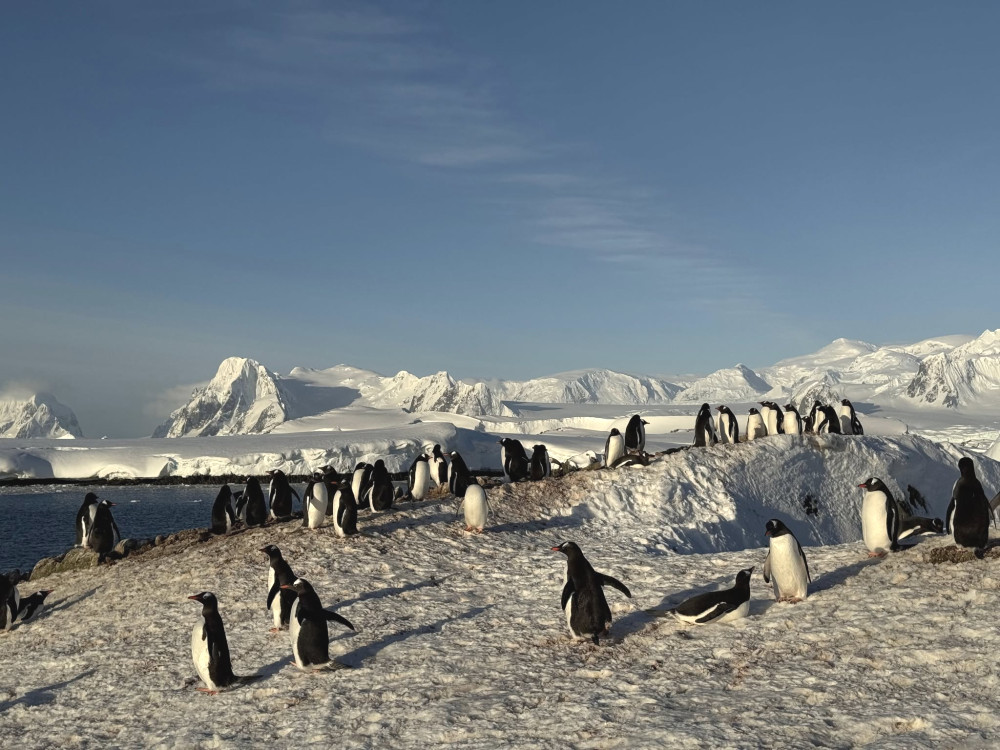 5915 image for slide