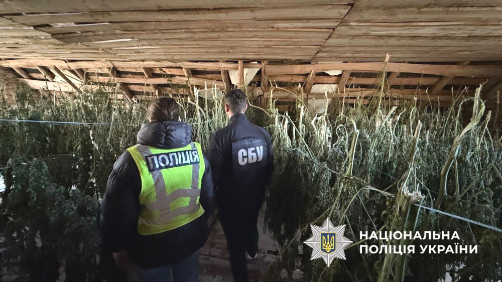 6348 image for slide