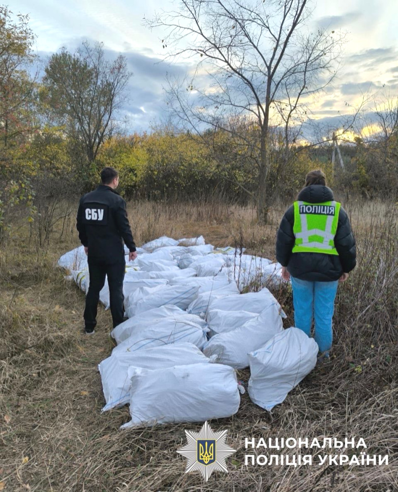 6349 image for slide