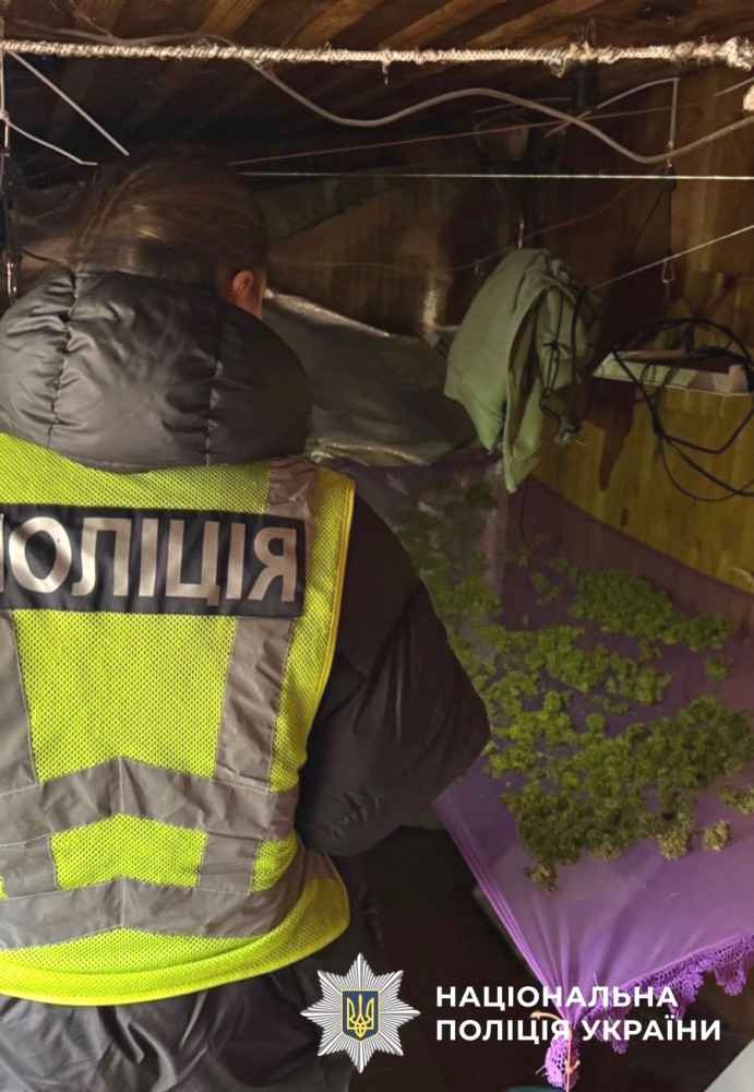 6351 image for slide