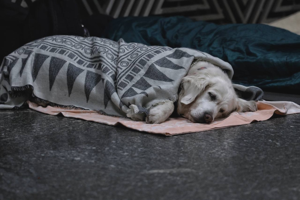 6749 image for slide