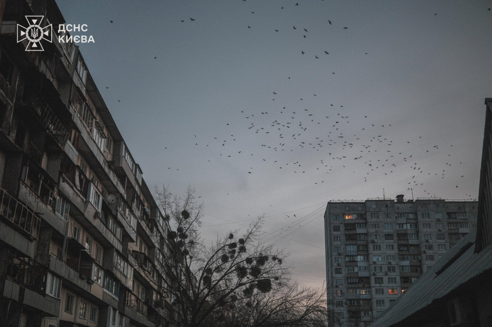 6763 image for slide