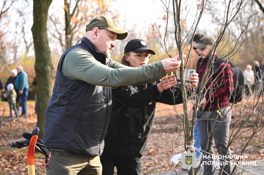 6984 image for slide