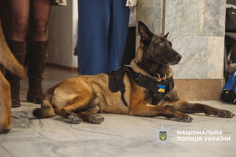 7130 image for slide