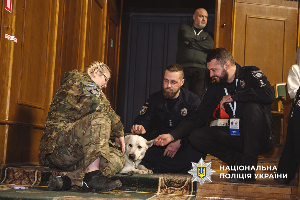 7131 image for slide