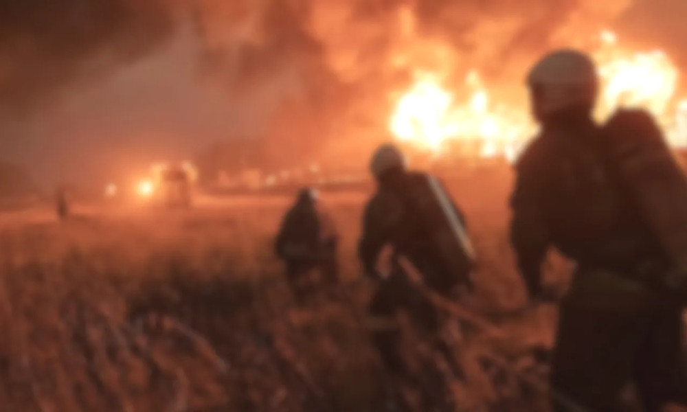 7356 image for slide