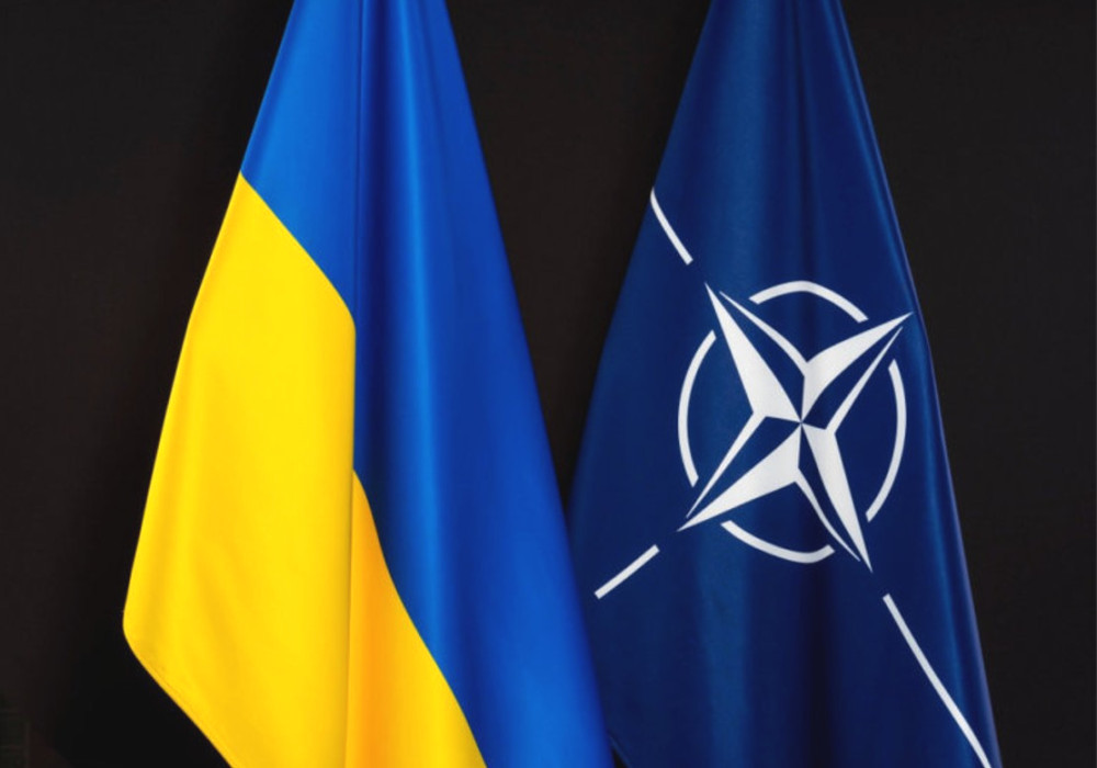 7387 image for slide